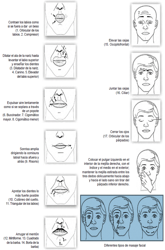 Tecnicas de masaje facial pdf