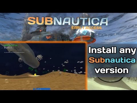 Subnautica how to clear cache