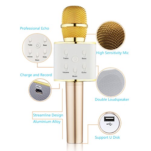Bonaok wireless karaoke microphone manual