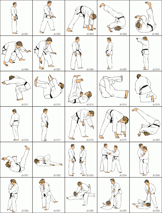 Brazilian jiu jitsu moves pdf