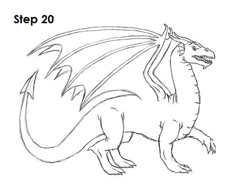 Pictures of how to draw a dragon