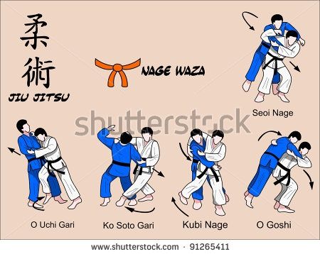 Brazilian jiu jitsu moves pdf