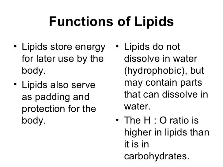Lipids structure and function pdf