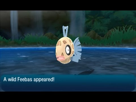 Pokemon moon how to catch feebas