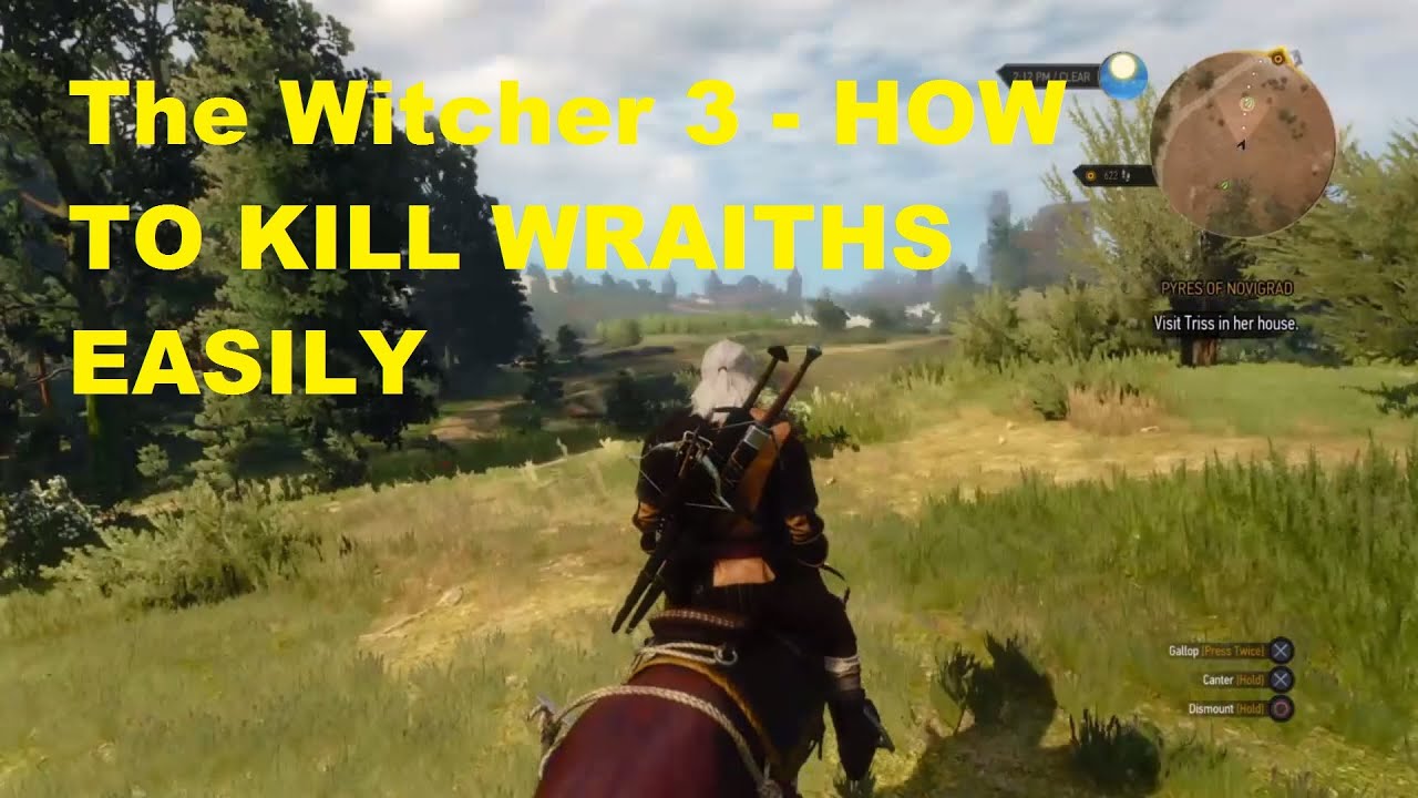 Witcher 3 how to kill moon wraiths